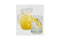 Monin Concentrated Flavor - 375 mL Plasic Bottle: Mango