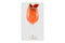 Monin Fruit Puree - 1L Plastic Bottle: Blood Orange